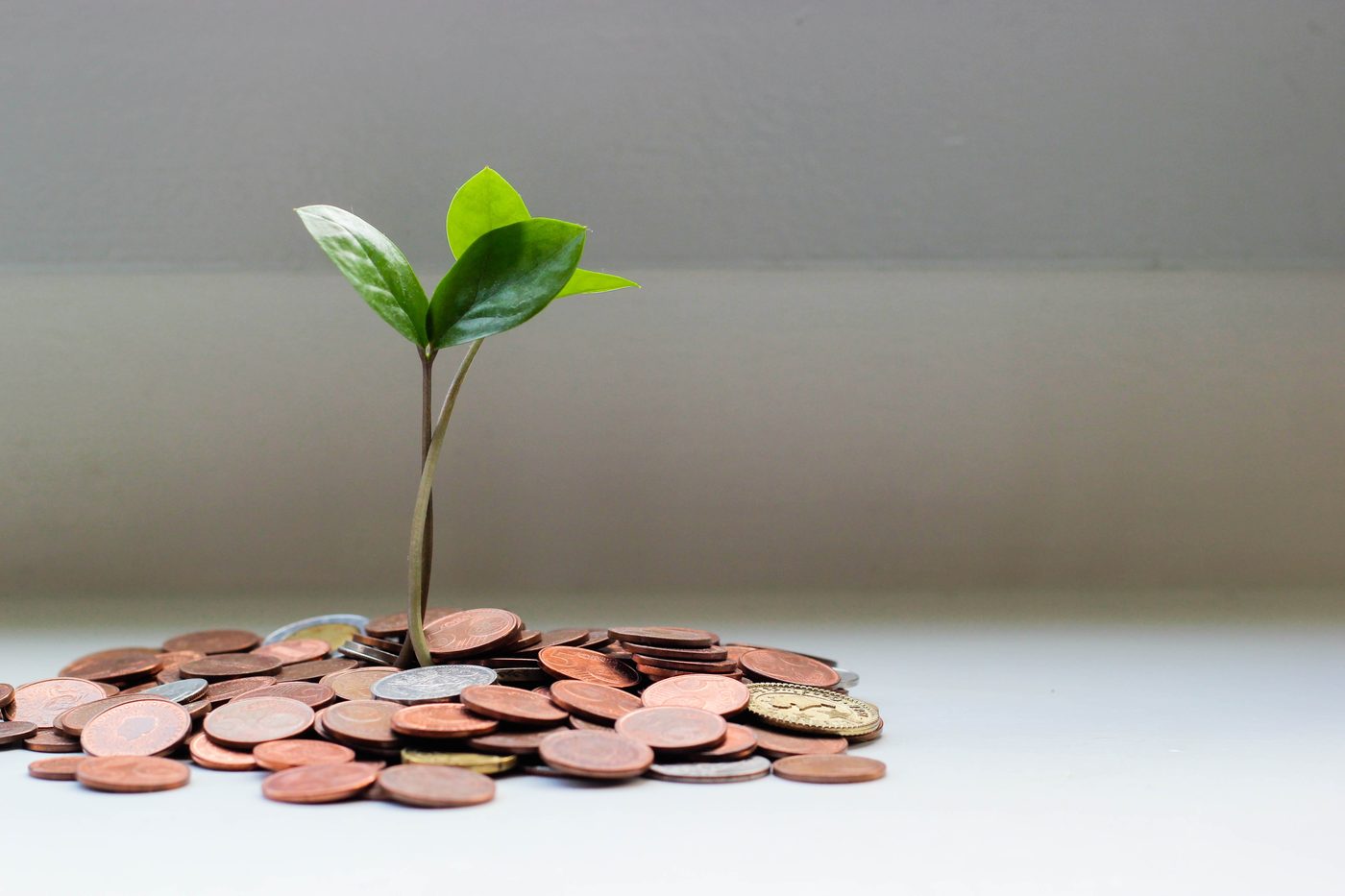 The Four Purposes for Money